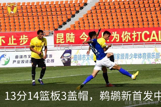 13分14篮板3盖帽，鹈鹕新首发中锋首秀交出两双